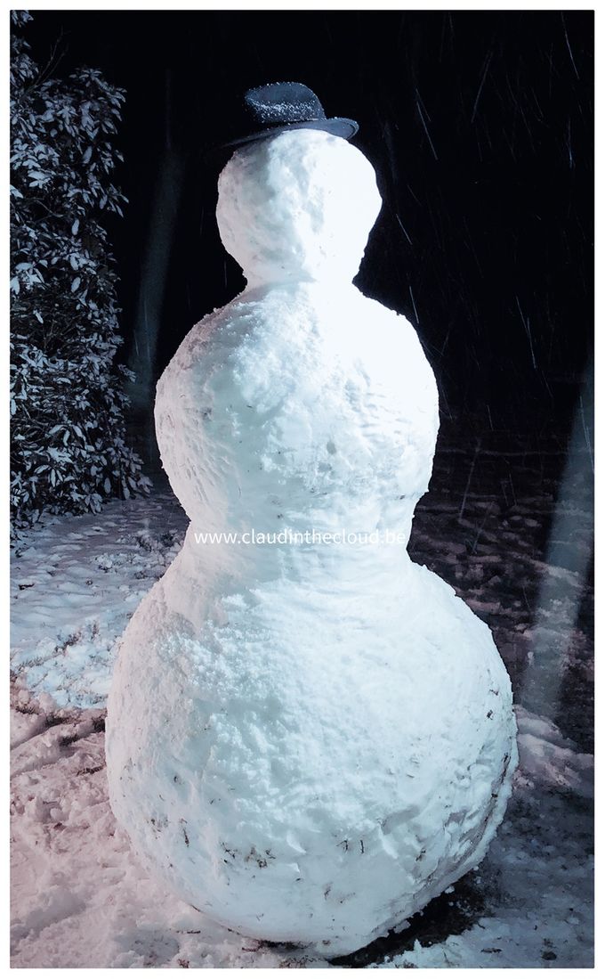 Ook zoonlief/blokkende student genoot vandaag van de sneeuw en z'n 1.75m hoge sneeuwman.  Pauze nemen moet!  Fun!